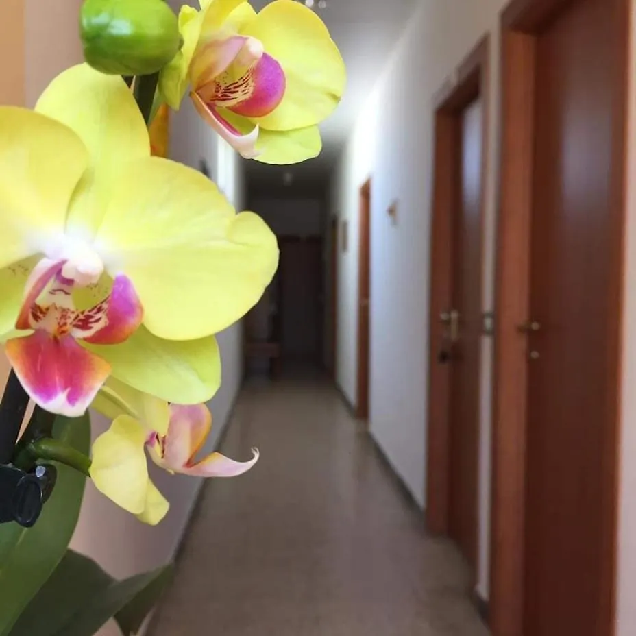 Hotel Pensione Tosca B&B Cattolica